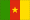 علم الدولة Cameroon